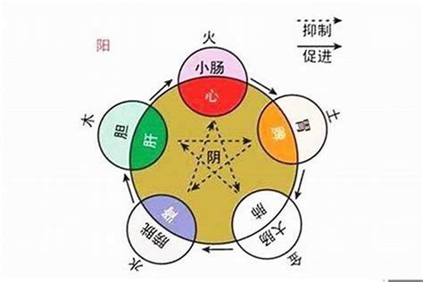 合字五行|合字五行属什么 合在五行中属什么